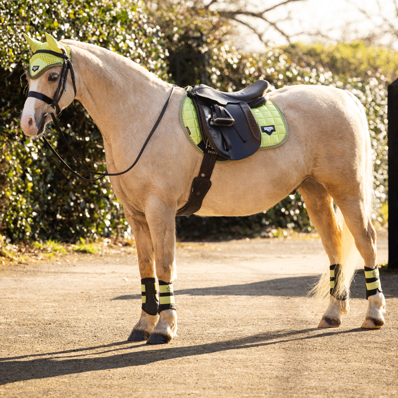 LeMieux Junior Loire Fly Hood - Kiwi-2